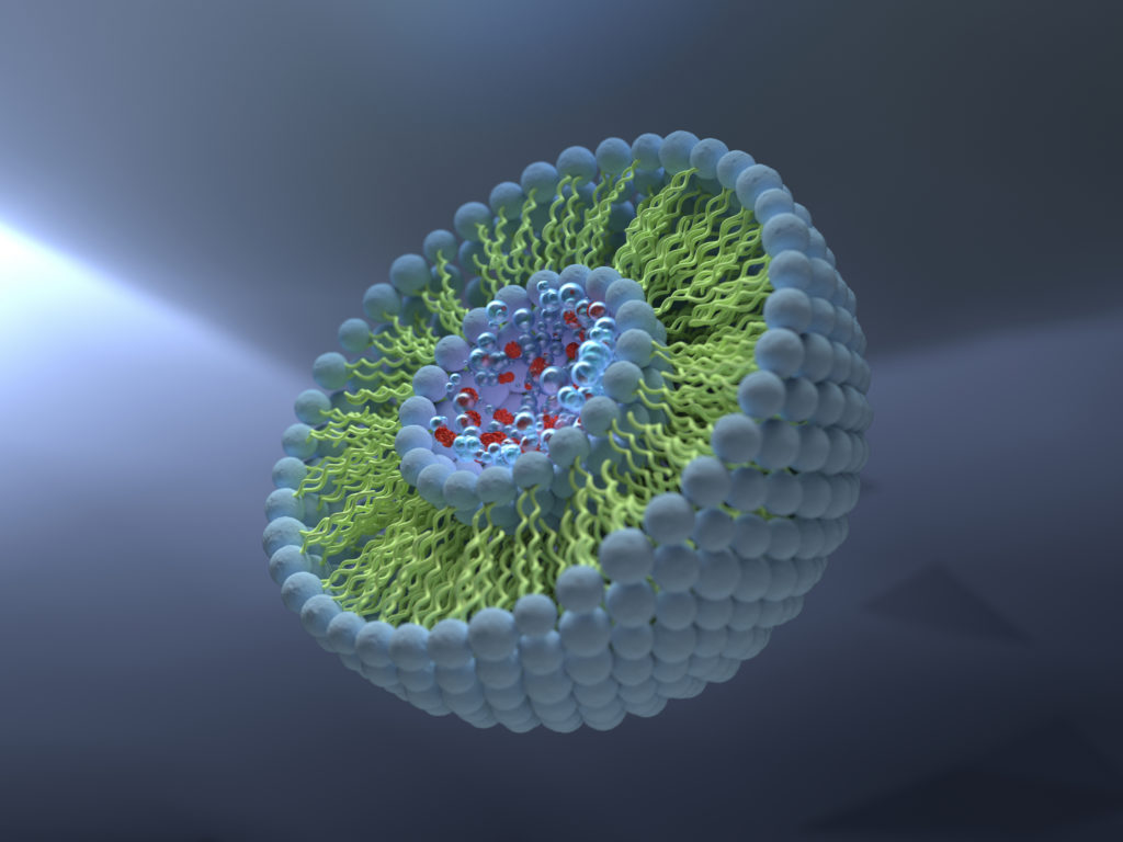 Structure of liposome, phospholipid, micelle, 3d render illustration ...