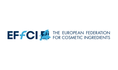 EFCCI logo